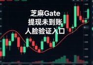 [教程]Gate芝麻所提现(币)未到账需要人脸识别操作流程-OKPi派导航