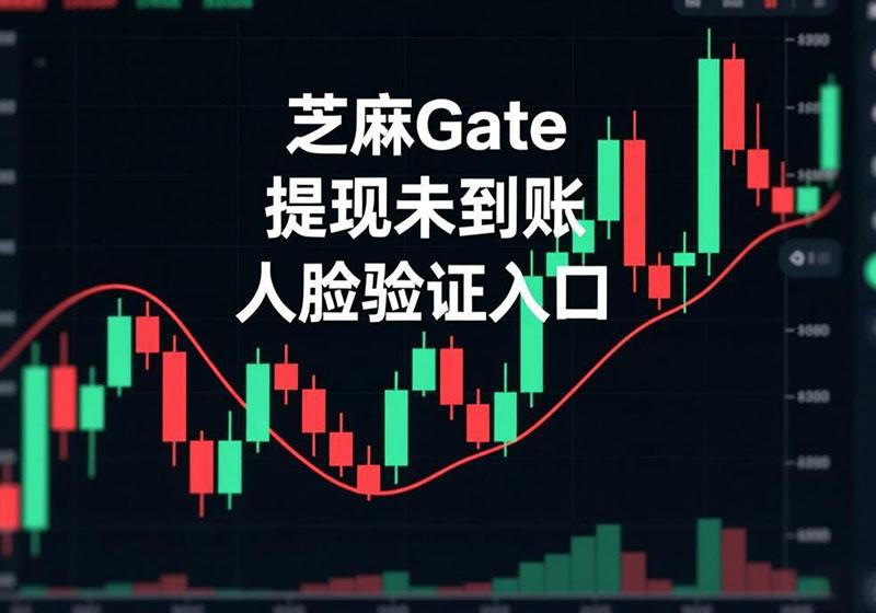 [教程]Gate芝麻所提现(币)未到账需要人脸识别操作流程-OKPi派导航