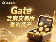 [教程]如何查询Gate芝麻交易所自己账号下的资产和数量？(以Pi币和USDT为例)-OKPi派导航