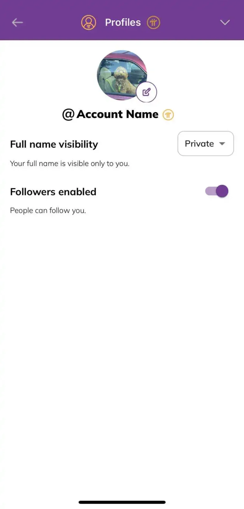 Pi社交档案：个性化您在Pi生态系统中的形象