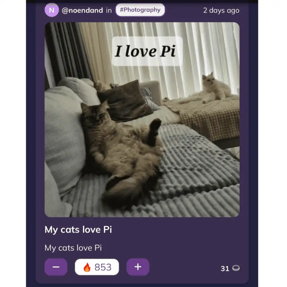 八月艺术节：教育他人！