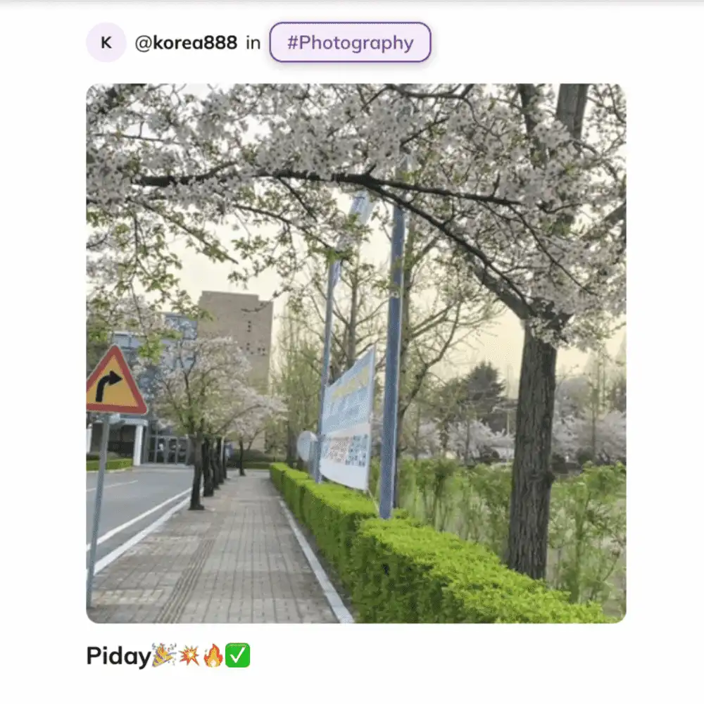 八月艺术节：教育他人！