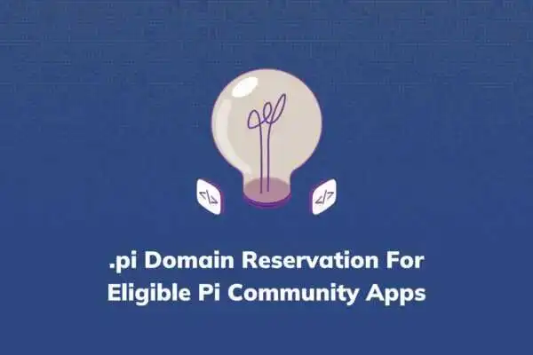 为已完成 PiNet 迁移的合规 Pi 社区应用预留 .pi 域名-OKPi派导航