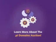 .pi域名拍卖：统计数据、更多详情和常见问题解答-OKPi派导航