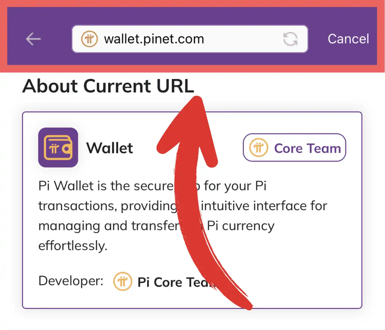 保护您的 Pi 钱包：重要安全提示