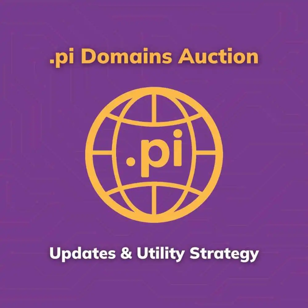 .pi域名拍卖最新动态及实用策略