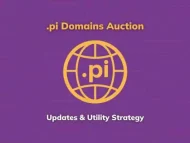 .pi域名拍卖最新动态及实用策略-OKPi派导航
