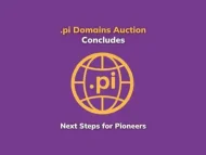 .pi域名拍卖结束：先锋们的下一步行动-OKPi派导航