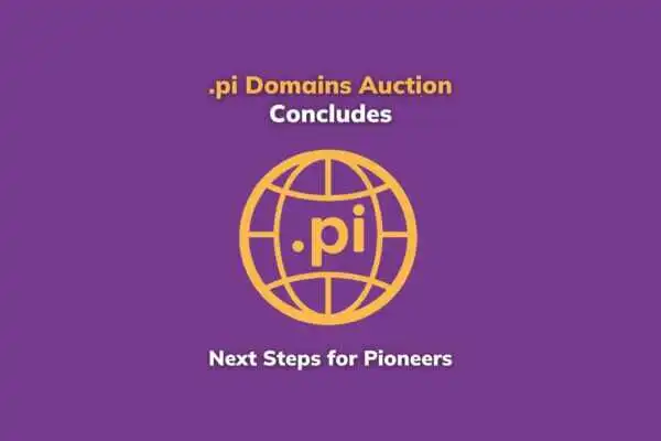 .pi域名拍卖结束：先锋们的下一步行动-OKPi派导航