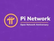 Pi Network 开放网络1周年纪念视频，Pi创始人范成雕和Nicolas Kokkalis出镜讲话-OKPi派导航